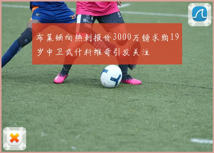 布莱顿向热刺报价3000万镑求购19岁中卫武什科维奇引发关注