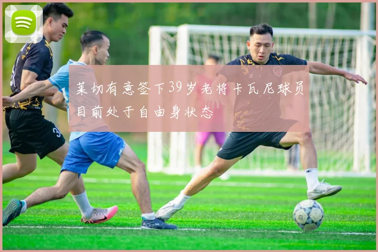 莱切有意签下39岁老将卡瓦尼球员目前处于自由身状态